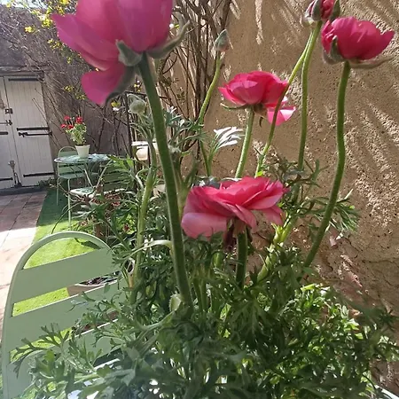 Escapade Romantique Inclus Avec Privatif Proche Canal Du Midi Et Carcassonne 3*