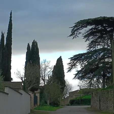 Escapade Romantique Inclus Avec Privatif Proche Canal Du Midi Et Carcassonne Bed & Breakfast Pexiora
